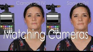 New Course: Color Matching Sony to Canon Cameras for Interviews