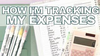 HOW I'M USING MY EXPENSE TRACKER | BUDGETING FOR THE WEEK | PLUM PAPER PLANNER