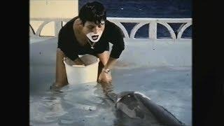 Teaching a dolphin to speak English - The Girl Who Talked to Dolphins: Preview - BBC Four