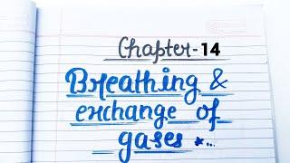 Breathing and Exchange of Gases || Short Notes || Class 11 Biology Handwritten notes #biology