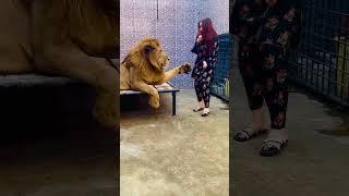 Mufasa kehta chal bhag (mian saqib)