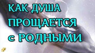 ЖИЗНЬ ДУШИ ПОСЛЕ СМЕРТИ Душа умершего прощается с родными ПОСМЕРТНЫЙ ОПЫТ ДУШИ (nde 2023)ЛУНА - ДУША