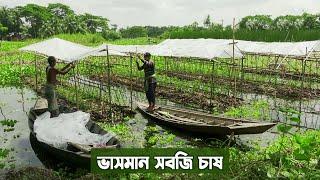 ভাসমান সবজি চাষ || Farming on Floating Plinth in Coastal Area of Bangladesh || Panorama Documentary