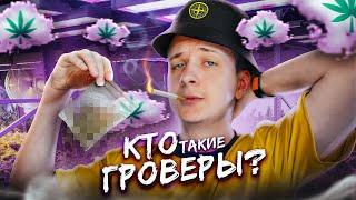 Кто такие Гроверы?