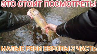 Нептун благословил мою РЫБАЛКУ 2 часть, Малые реки Европы! #fishing #рыбалка2023 #спиннинг#angeln