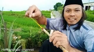 Nyekar Ke Makam Sekalian Mancing Dapat Monster Penghuni Sawah Ngeri