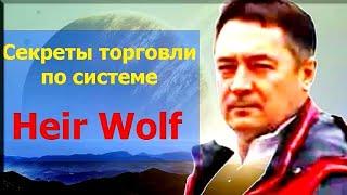 Индикатор разворота цены Heir Wolf TF