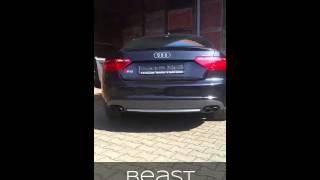 Audi S5 Umbau Abgasanlage Stage1 / by Beast Factory