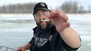 Trophy Brown & Rainbow Trout Ice Fishing tips/tricks