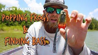 Popping Frogs and Finding Bass