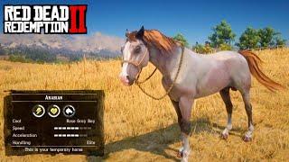 JOHN BUYING NEW RACING HORSE IN RDR 2