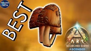 Best Location to Farm Rare Mushrooms on Scorched Earth - ARK: Survival Ascended