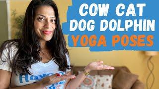 4 YOGA POSES TO TEACH PRESCHOOLERS | Cow Cat Dog Dolphin | Preschool Exercise | Occupational Therapy
