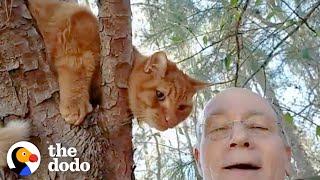 Retired Guy Rescues Over 700 Cats From Trees | The Dodo Heroes