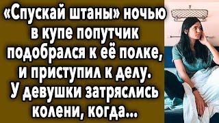 Попутчик В Купе Подобрался К Ее Полке, И Приступил К Делу