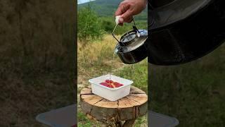 Survival Skills Lifehacks: Improvised Chopsticks in the Wild. #survival #camping #lifehacks