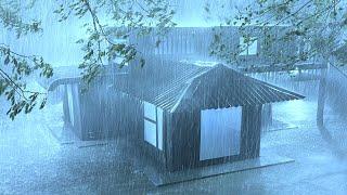 Sleep Well with Super Large Rain, Real Thunder Sounds, Strong wind Gusts on Tin Roof at Stormy Night