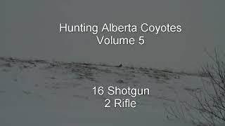 Hunting Alberta Coyotes Vol. 5  (16 Shotgun + 2 Rifle)