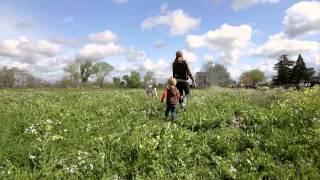 Book Family Farm Kickstarter Film by TréCreative