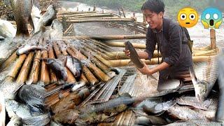 NYISHI TRIBE TRADITIONAL CULTURE FISHING STYLE OF SEPE (trap)| IN PAPUM RIVER| NORTHEAST REGION|