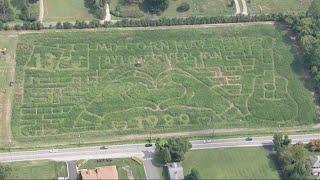 Taylor Swift themed corn maze opens this weekend in Maryland