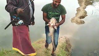 #African #catfish caught... #bait fishing by hook stars..!!