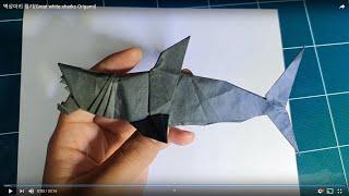 백상아리 접기(Great white sharks Origami)#origami#종이접기