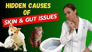 Why Your Pet's Gut & Skin Issues Won't Heal - Hidden Root Causes You Need to Know