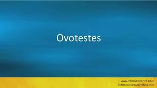 Pronunciation of the word(s) "Ovotestes".