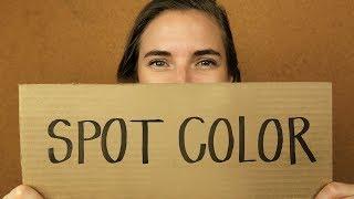 What is Spot Color?