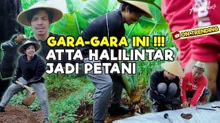 GARA-GARA TANAMAN INI !!! ATTA HALILINTAR JADI PETANI DI KEBON ABANG NARJI