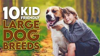 Top 10 Kid Friendly Large Dog Breeds