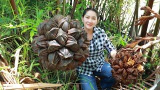 Alien Ball Fruit cut from tree and Eat | It's not easy to find yet yummy and sweet fruit