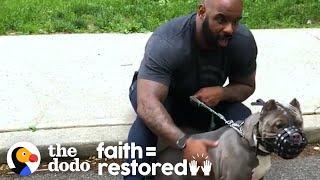 Watch This Guy Slowly Win Over His Rescue Dog Who Was Scared Of Men | The Dodo Faith = Restored