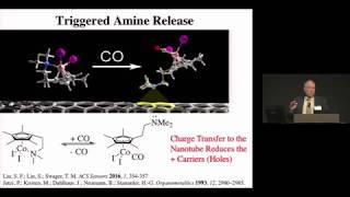 Timothy Swager, MIT: Molecular Designs for Specificity in Chemical Sensors (2018)