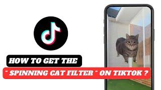 How to get the spinning cat filter on tiktok | how to get spinning cat Green screen video