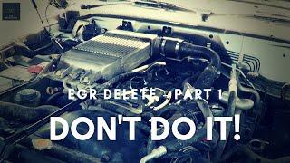 EGR Delete Part 1 - DON'T DO IT! 5 Reasons Why...