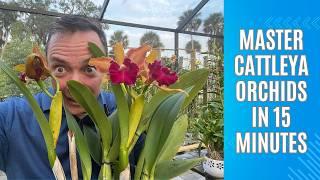 Master Cattleya Orchids in 15 Minutes