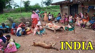 Rural Life In Uttar Pradesh India Village || Rural Life India || Farmer Life In India