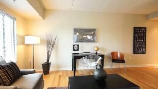 Ann Arbor Condo For Sale: 111 Ashley #910, Ann Arbor, MI