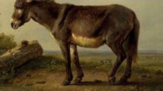 Saint-Saens: Carnival of the Animals~Hemiones (animaux veloces) Wild Asses