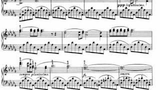 F. Chopin : Nocturne op. 9 no. 1 in B flat minor (Rubinstein)