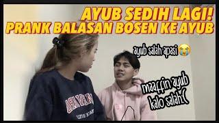 BIKIN AYUB SEDIH LAGI! BALAS AYUB BILANG BOSEN PACARAN SAMA DIA!! 