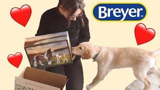 Chaotic Puppy BREYER Unboxing