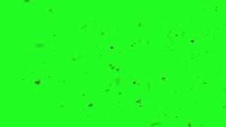 Bee Swarm   on green screen  1280x720MP4