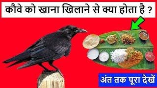 कौवे को खाना खिलाने से क्या होता है | Kauwe Ko Roti Dena Shubh Ya Ashubh | Kauwe Ko Khana Khilana