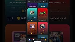 Hamster Kombat Combo Cards July 1  Hamster Kombat Комбо Карты 1 Июля #hamsterkombat  #airdrop