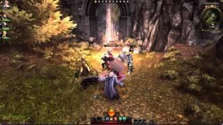 Neverwinter Devoted Cleric Gameplay Montage