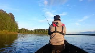 Saku, Santtu & A-P Naamisuvanto 2014 - Torniojoki: salmon fishing in Tornio River in Lapland Finland