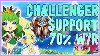 Challenger Enchanter Support Guide S11 (700 LP 70% Win-rate Explained EUW)